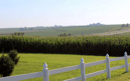 Sunny day corn field next to highway.