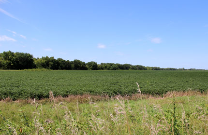 Farmland